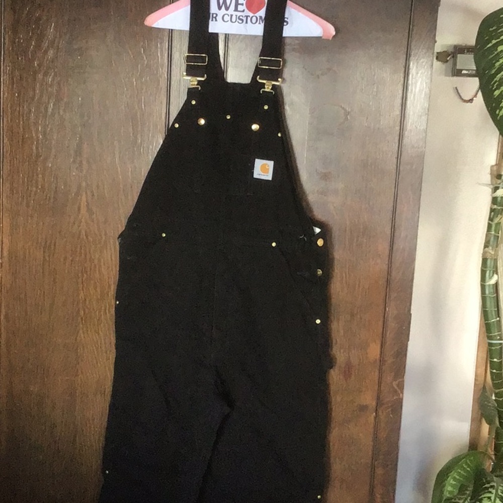 Insulated Carhartt overalls